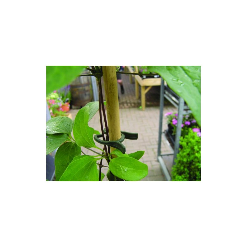 Bosmere H201 Lever Loops Plant Grippers, 100-Pack