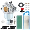 Carbhub 591731 Carburetor Replacement for 591731 796109 594593 590400 796078