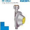 GOK Caravan Regulator 30 mbar 1.2 kg/h