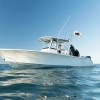 Dev Fishing 43" Removable Boat T-Top Rod Holder Flag Pole