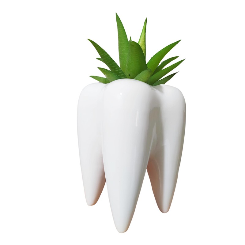 SJBAG Ceramic Animal Shaped Flower Pot - Unique and Charming