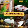 SunGrow Large Cuttlefish Bones for Cockatiels, Turtles, Shrimp, Dog Calcium,
