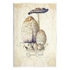 Stupell Industries Vintage Scientific Mushroom Study Wall Plaque Art, Design