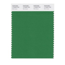 PANTONE Smart 17-6333X Color Swatch Card, Mint Green