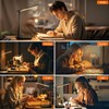 shinelife LED Desk Lamp for Office Home, Bright Desk Light