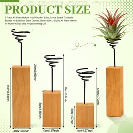 ARQRHTLY 3 Pcs Wooden Air Plant Holder, 3 Sizes Air Plant Container Live Holder Wood Base with Metal Spiral for Display Small AirPlant, Tillandsia Stands for Home Desktop Office, Housewarming Gift