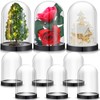 Zhengmy Plastic Dome Display Case Cloche Bell Jar with Base