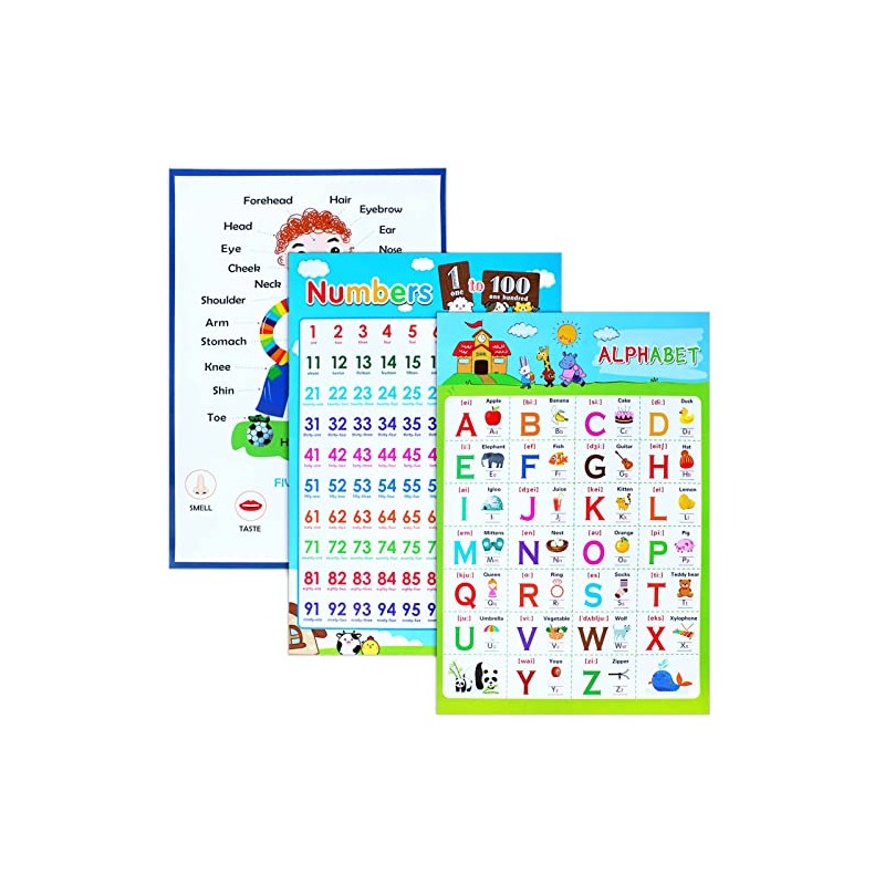 3 Pieces Educational Posters, ICEBLUEOR Laminated Wall Chart Number Senses