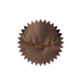 Sttiafay Gold Snake Chain Choker Necklace Short Herringbone Flat Chain Necklace Chunky Chain Jewellery for Women and Me, Gold