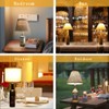 Bottle Lamp Kit with 9mm Glass Drill bit DIY Lamp