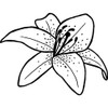 A8 'Lily Flower' Unmounted Rubber Stamp (RS00021066)