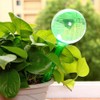10Pcs Plastic Watering Bulbs Automatic Watering Device Self Watering Globes
