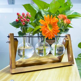 TECHSHARE Propagation Station for Plants, Terrarium for Hydroponic Plants, Plant Terrarium with Wooden Stand Decorate Office, Dining Table, Interior(3 Bulb Vase)