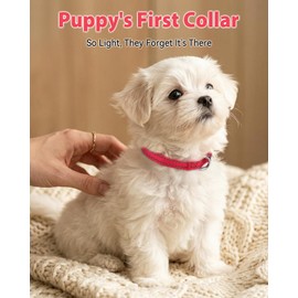 Joytale Puppy Collar, Feather-Light Double-Sided Reflective Nylon Collar for Night Safety, Adjustable Quick-Release for Extra Small Dogs, Red, XS (3/8" Width)