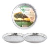 CasaChic Contenitore Alluminio per Crostata Grande, 2 pz – Teglia