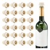 WOTOR Wine Stoppers Vacuum, Wine Saver, Wine Pump Vacuum Stoppers,