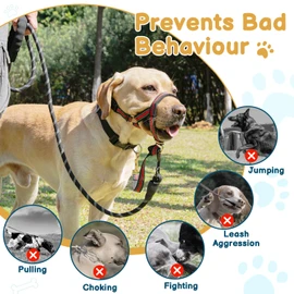 BARKLESS Muzzle Leash for Heavy Pullers, No Pull Stylish Head Halter for Small and Medium Aggressive Dogs, Gentle Dog Face Harness Stops Pet Pulling and Choking on Walks, Adjustable Head Collar
