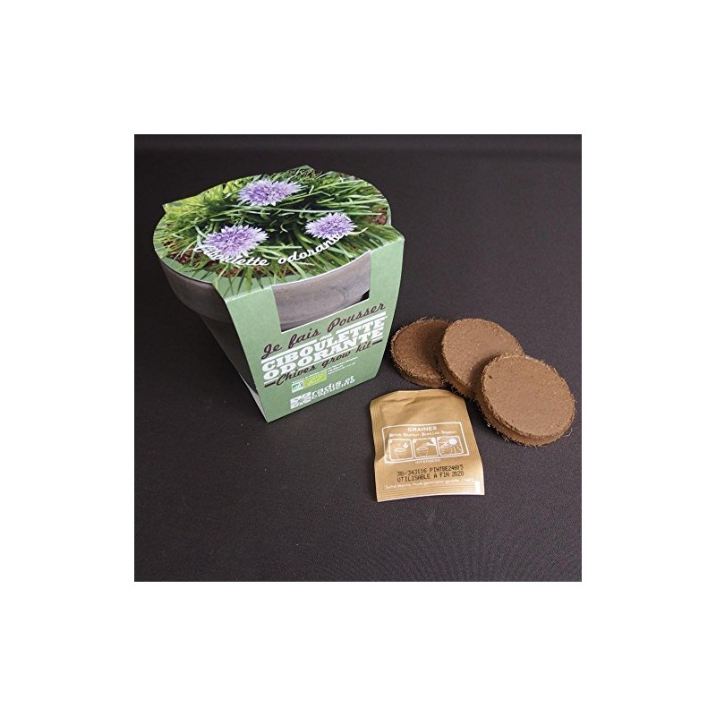 Kit Plant Terracotta Chives - Maestro Gift