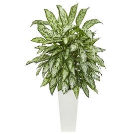 Nearly Natural Artificial Silver Queen Plant in White Tower Planter, 28" Dx28 Wx43 H, Green