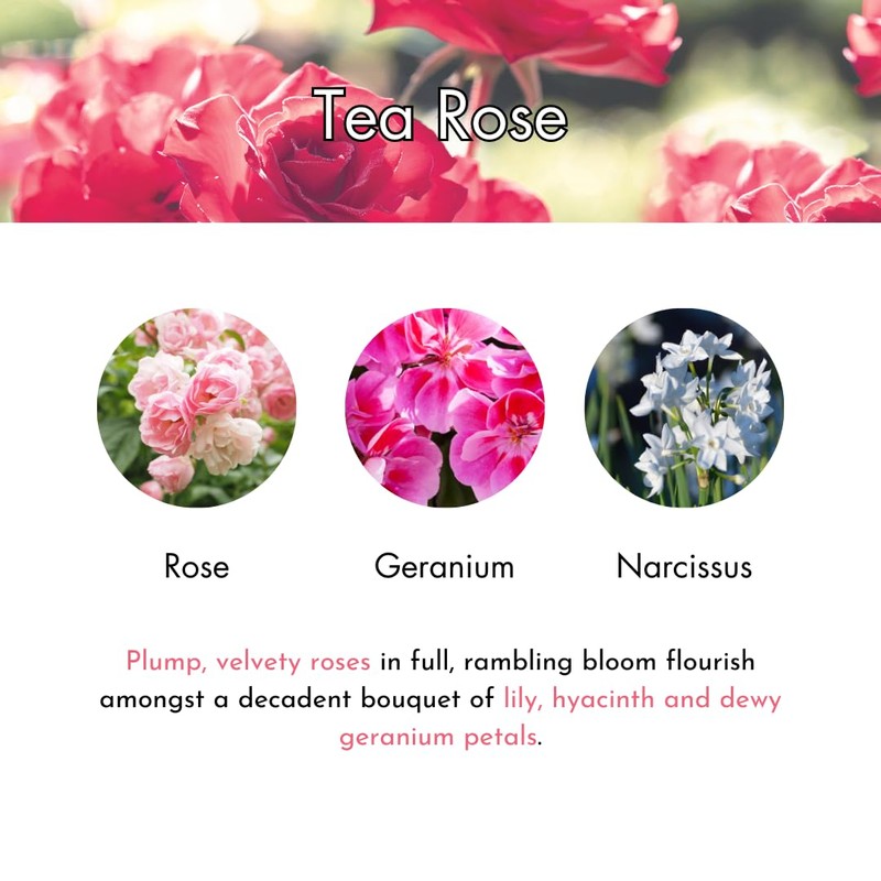 Ashleigh & Burwood Duftstäbchen-Diffusor, 150 ml, Geschenkset – Tea Rose