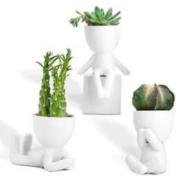 Port&Petal Small Succulent Pots with Drainage (Set of 3) - Ceramic Planters for Live Plants, Air Plants or Fake Plants Decor - Cute Planters for Indoor Decor - Small Pots for Home Office Décor - White
