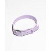 Wild One Collar - X Large Lilac