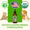 Animal Essentials Colon Rescue for Dogs & Cats - Herbal