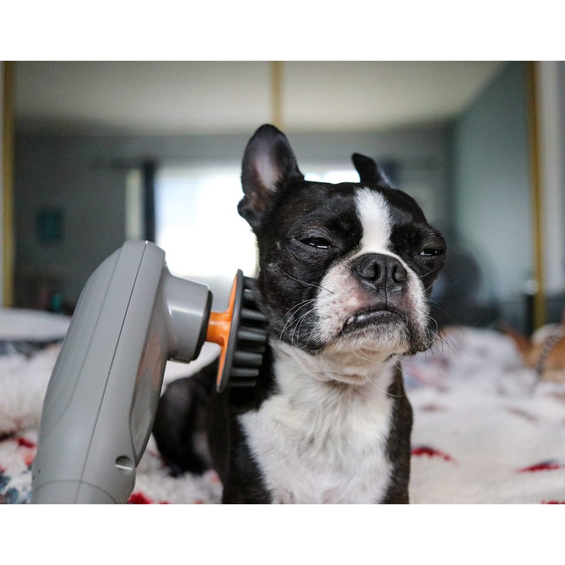 PAW WAVE PERK Percussion Pet Massager for Dogs and Cats