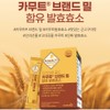 Healthy Hug Partner High potency enzyme Kamt Enzyme Grain Fermentation