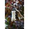 Bird nesting material - 100% pure natural British wool. Soft,