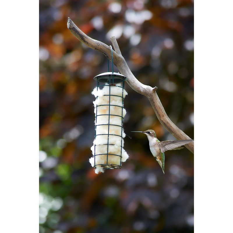 Bird nesting material - 100% pure natural British wool. Soft,
