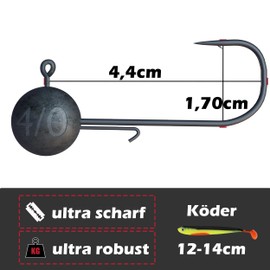 Paradox Fishing Jig Heads Set 15 x 15 g 4/0 I Jig Heads Rubber Fish with Jig Head for Rubber Fish Zander Fishing Accessories