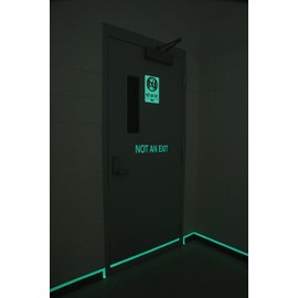 Brady 90492 10" Width x 3.5" Height B-324 Glow-in-the-Dark Self-Stick Polyester Exit and Directional Sign, Green on Red, Legend "Not An Exit"