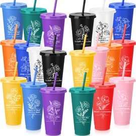 Honeydak 20 Pack Christian Gifts Tumblers Bulk 24 oz Reusable Religious Tumblers with Lids Straws Plastic Bible Verse Coffee Cups Inspirational Gift for Women Church(Vivid Colors)