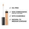 Maybelline New York Fit Me Liquid Concealer Makeup, Natural Coverage,