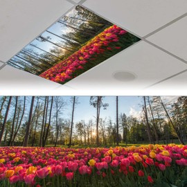 4 Pack Fluorescent Light Covers Magnetic Light Cover Fluorescent Light Eliminate Harsh Glare That Causing Eyestrain and Head Strain Light Filters for Office Classroom Home,4 x 2 Ft (Tulip)