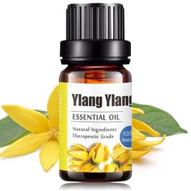 Aceites Esenciales de Ylang Ylang Aromaterapia - Natural 100% de Aceite Esencial Natural Conjunto de Difusores y Humidificadores con Caja de Regalo Exquisita (UVa Natural, 10 ML) (Ylang Ylang)