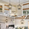 4 Light Chandelier Lighting, Industrial Ceiling Light Black Lantern with