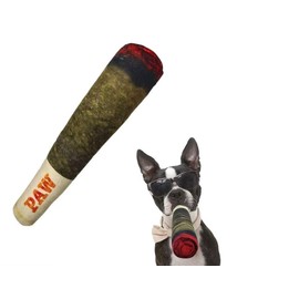 Paw Raw Squeaker Toy for dogs - Plush Squeaky Toys for Medium, Small and Large - Cool Stuffed for Dog Birthday 1 Pieces