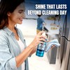 Sheila Shine 3oz Stainless Steel Cleaner and Polish - Cleans,