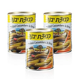Pickled Cucumbers in Brine | Crispy Cucumber Pickles, All Natural, No Preservatives | Pack of 3, Total of 57 Oz (Large Pickles)