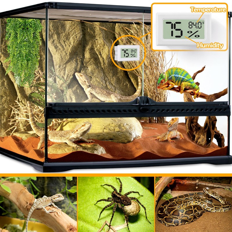 Bearded Dragon Accessories, 2 PCS Rectangle Reptile Thermometer and Humidity