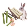 Dbeans Flourithing Guinea Pig Toys Apple Sticks, Tissimo Grass Sticks,