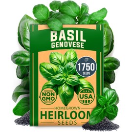 HOME GROWN Genovese Basil Seeds Pack - 1750 High Germination, Non-GMO Heirloom Seeds (Ocimum basilicum) - Perfect Herb Seeds for Planting Indoor & Outdoor Gardening - Grow Basil Plant for Culinary Use