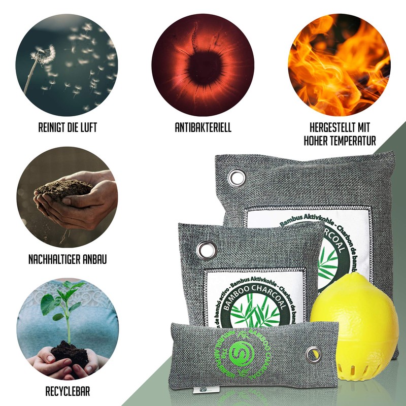 Bamboo Shoe Odour Remover