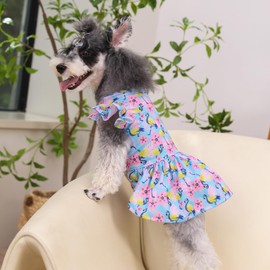 CuteBone Frilly Dog Dress Princess Puppy Birthday Dresses with Ruffled Sleeves Cat Clothes Outfit for Small Dogs Girl Pet Apparel FX10L