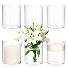 6 Pcs Glass Cylinder Vase for Centerpieces 4 Inch Tall Clear Flower Vases Wedding Decorations Modern Bulk Cylinder Flower& Plant Vases Hurricane Candle Holder for Table Shelf Party (4 x 3.35 Inch)