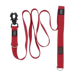 BEN&MACK Correa para Perro Ajustable 4 en 1, Collar con Broche de Seguridad de Escarabajo (Rojo)