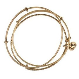 Alex and Ani Set Of 3 Bangle Set