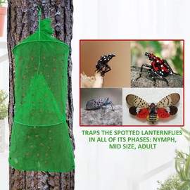 (Green, 2 Pack) Spotted Lanternfly Mesh House Trap SLF. Simple and Effective Way to Catch Lantern Flies and Nymphs